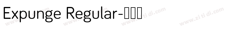 Expunge Regular字体转换